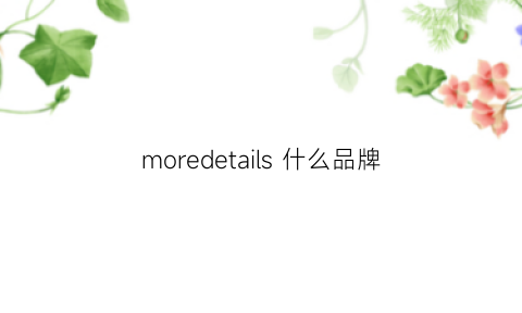 moredetails什么品牌(morecasefor是什么品牌)